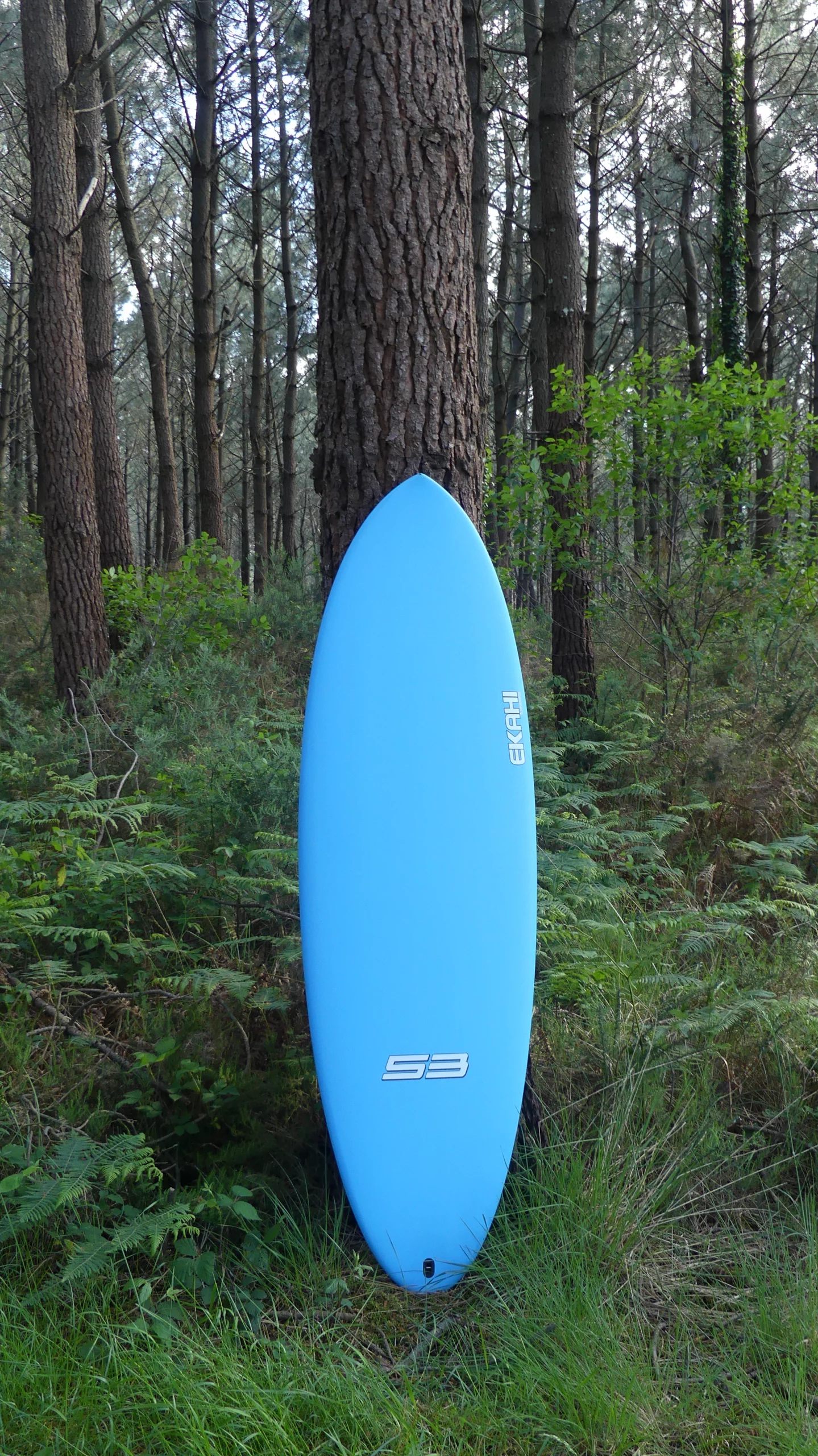 53-BOIS-BLUE-TOP