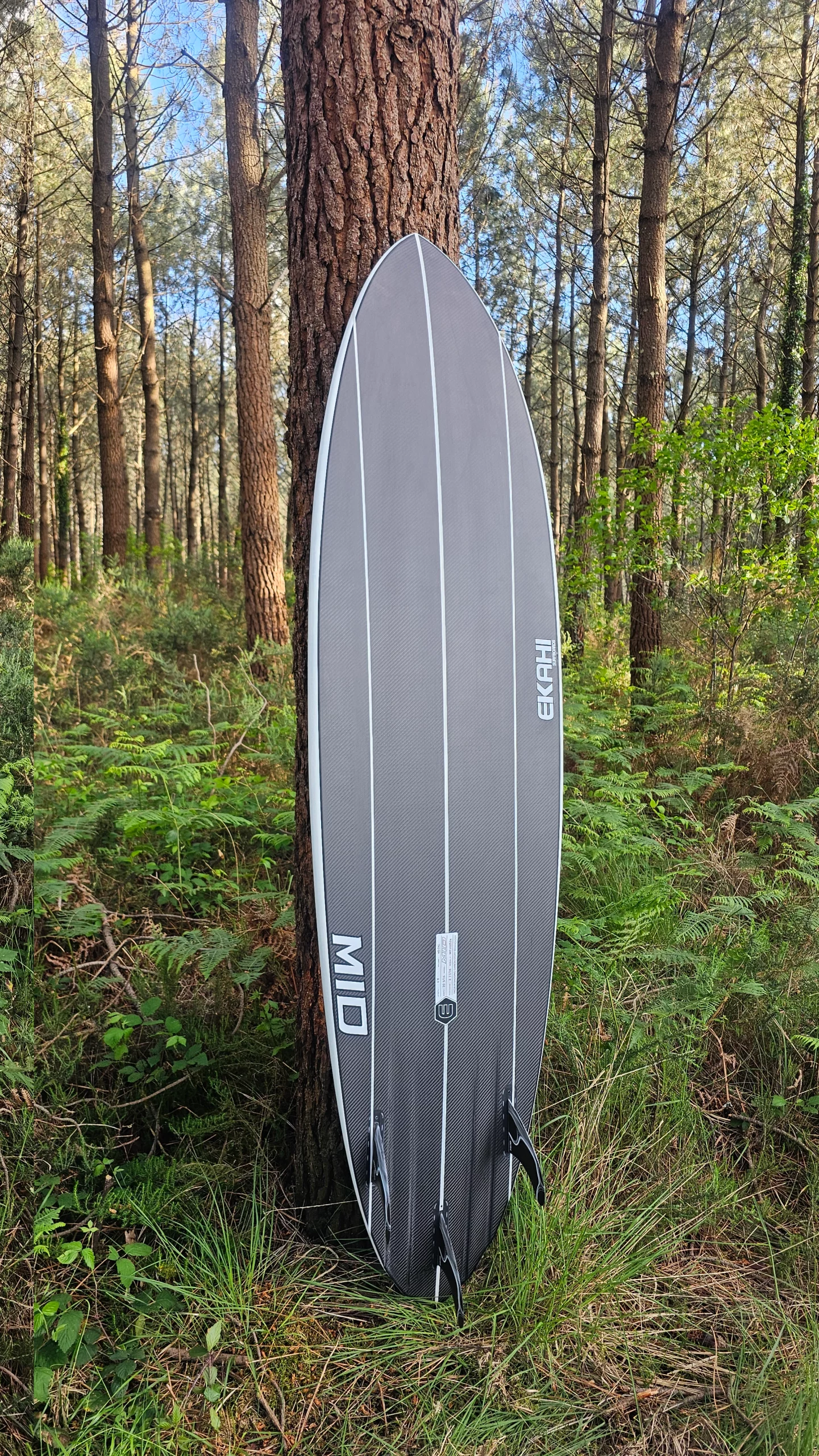 MID-WHITE-BOIS-BOTTOM-2