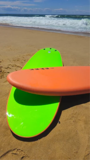8' - Orange / Green - 8' x 22