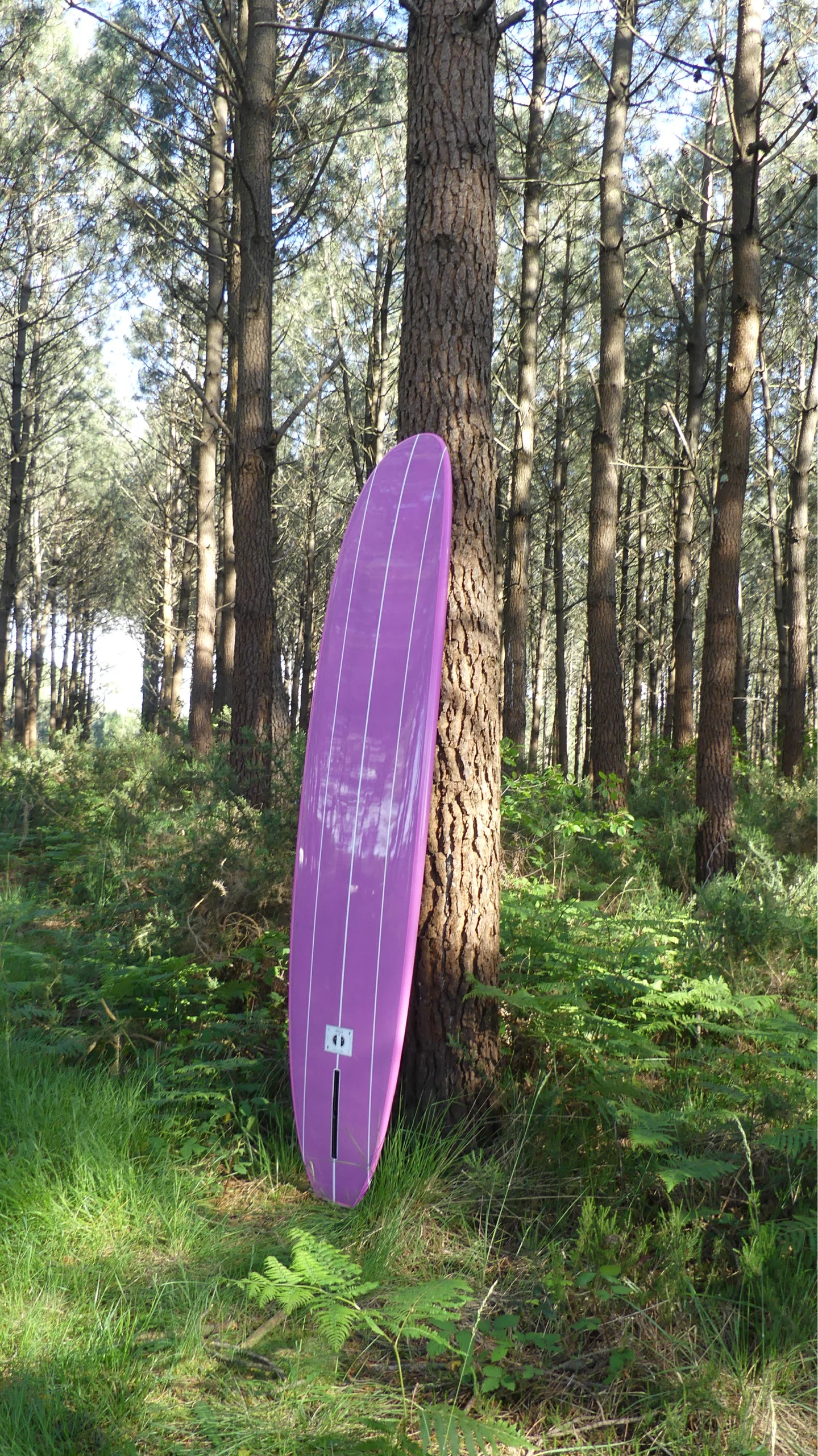 Bottom view of EKAHI pink carbon Single classic longboard in the forest, available in 8'0 and 9'1.