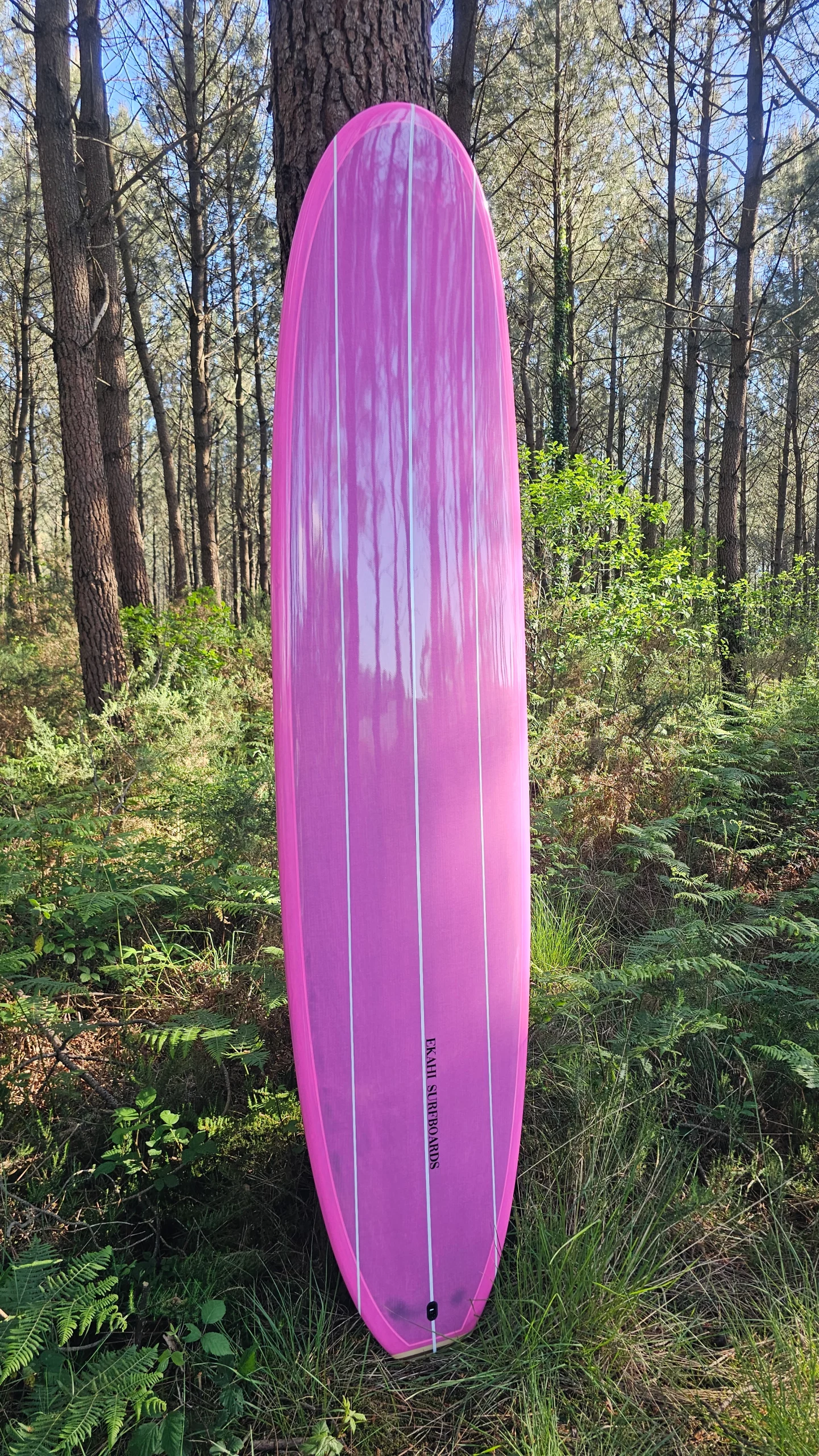 Top view of EKAHI pink carbon Single classic longboard in the forest, available in 8'0 and 9'1.