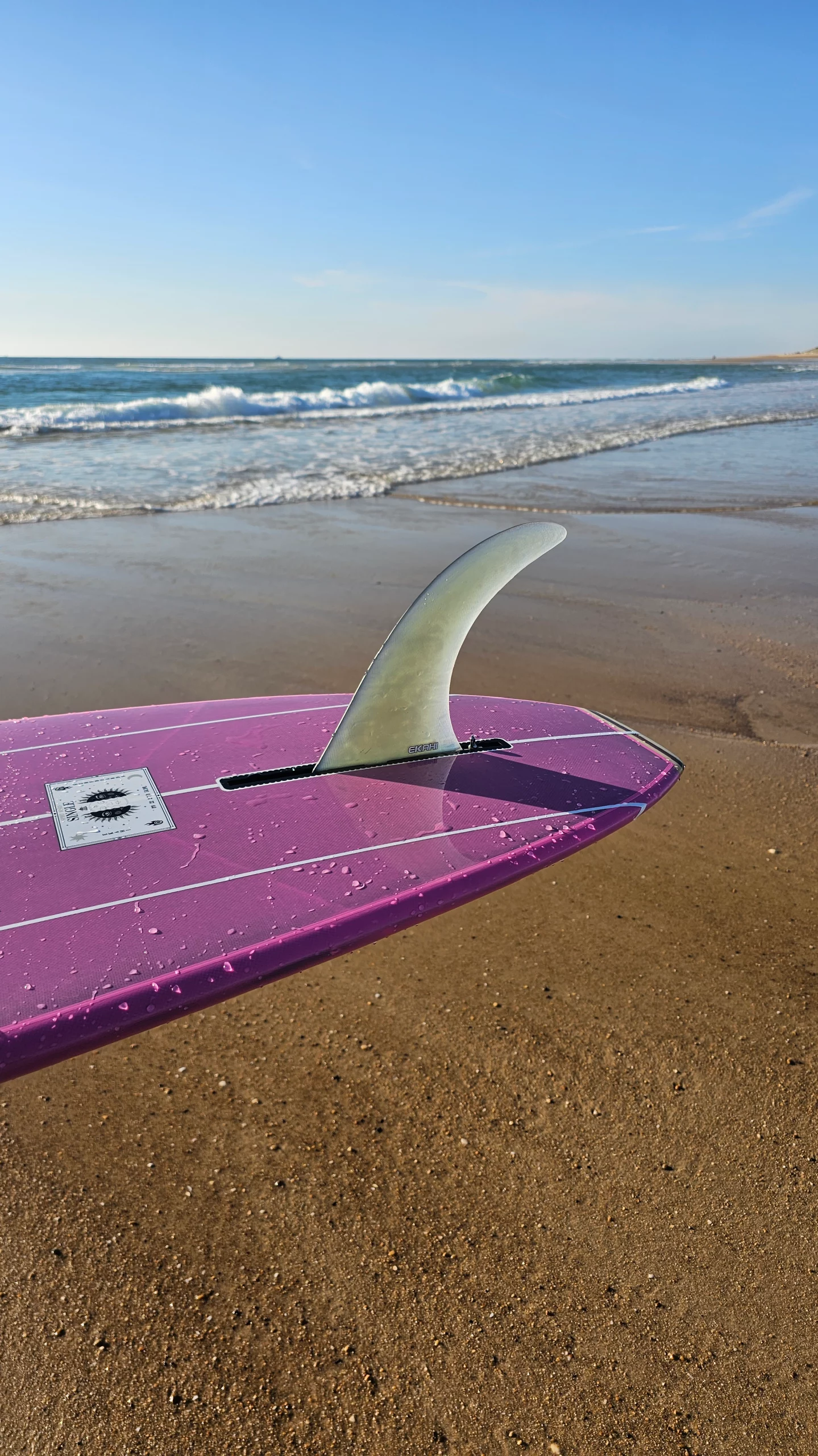 View of the single fin on the pink classic longboard at the beach.