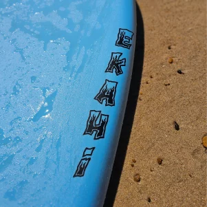 8' - Blue / Blue - 8' x 22